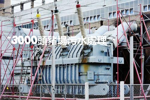 “3000頭豬場污水處理，綠色環(huán)保新篇章！”